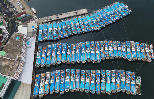 제9호 태풍 '마이삭' 제주 향해 북상  제9호 태풍 '마이삭'이 매우 강한 태풍으로 발달해 제주도 남쪽 해상을 향해 접근 중인 가운데 1일 오전 서귀포항에 어선들이 대피하는 등 긴장감이 높아지고 있다.  연합뉴스